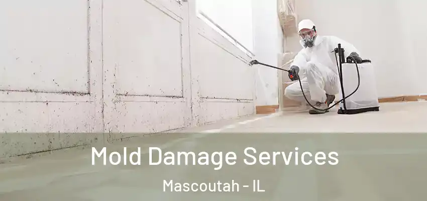  Mold Damage Services Mascoutah - IL