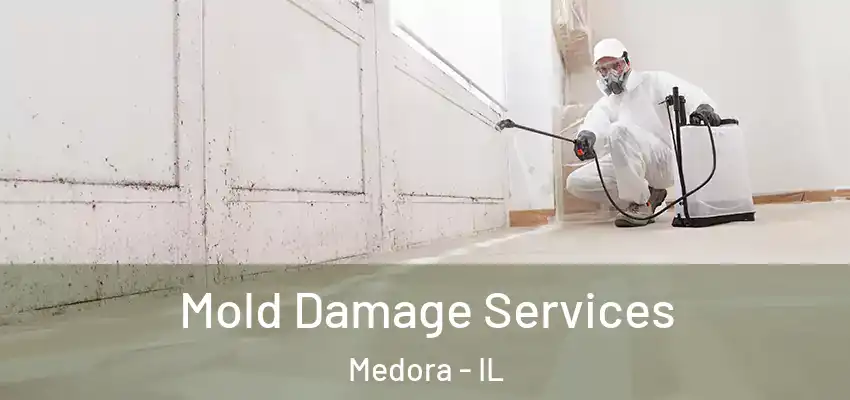  Mold Damage Services Medora - IL