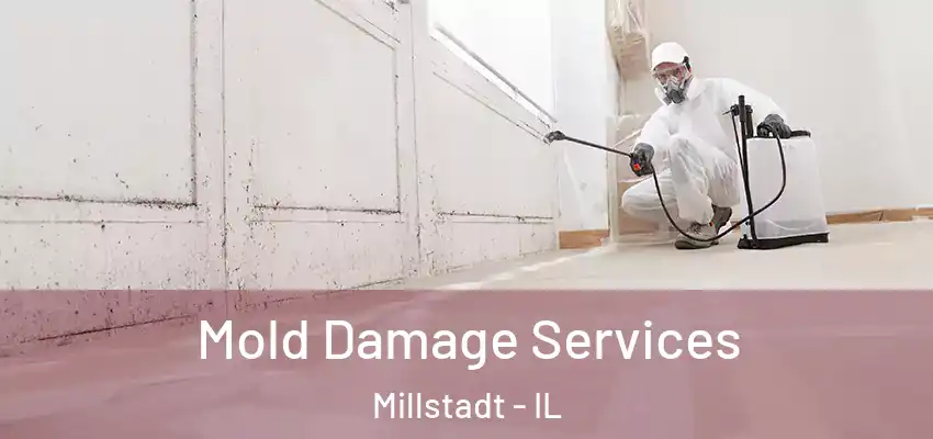  Mold Damage Services Millstadt - IL