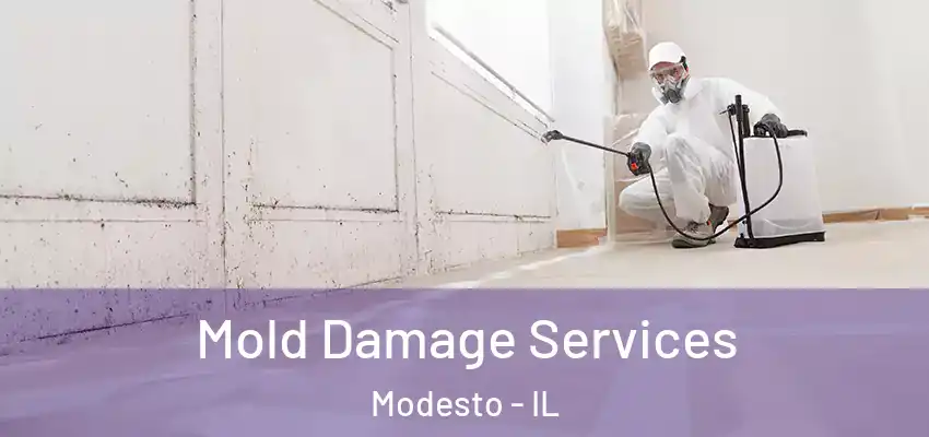  Mold Damage Services Modesto - IL