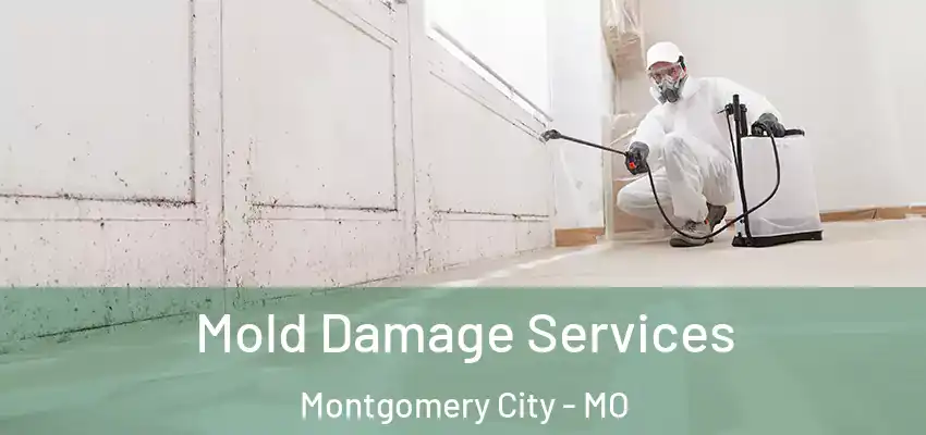  Mold Damage Services Montgomery City - MO