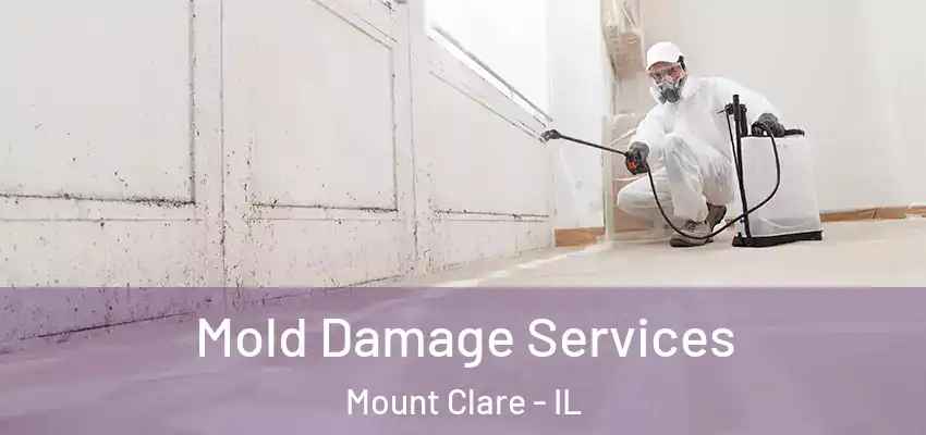  Mold Damage Services Mount Clare - IL