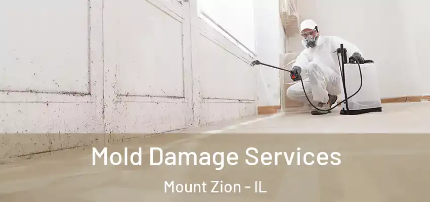 Mold Damage Services Mount Zion - IL