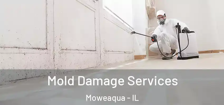  Mold Damage Services Moweaqua - IL