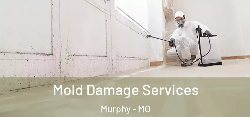 Mold Damage Services Murphy - MO