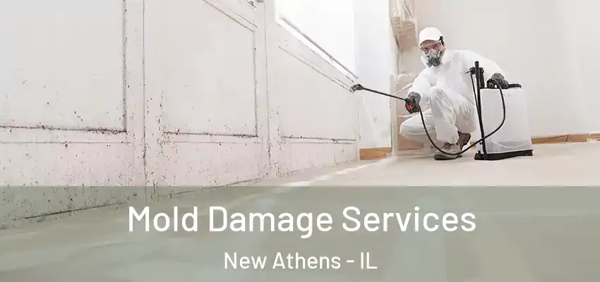  Mold Damage Services New Athens - IL