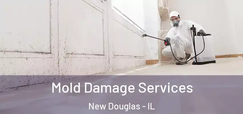  Mold Damage Services New Douglas - IL