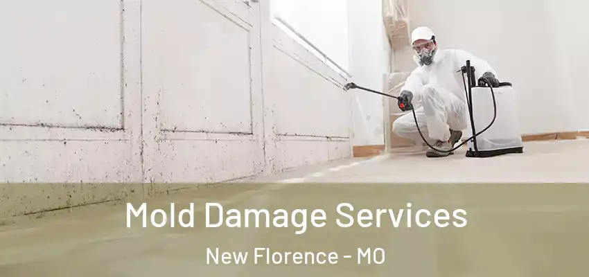  Mold Damage Services New Florence - MO