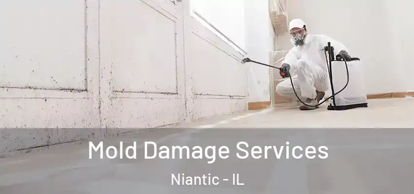  Mold Damage Services Niantic - IL