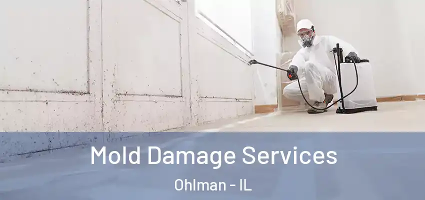 Mold Damage Services Ohlman - IL