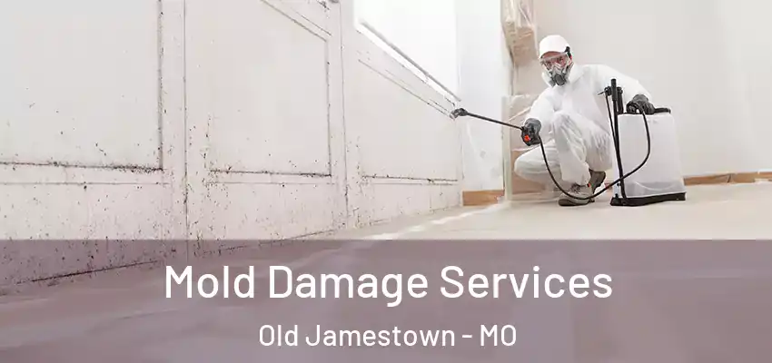 Mold Damage Services Old Jamestown - MO