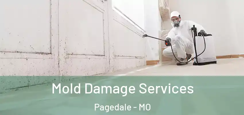 Mold Damage Services Pagedale - MO