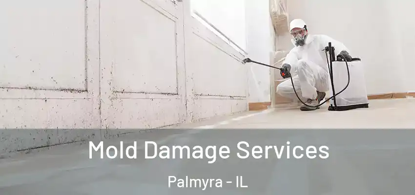  Mold Damage Services Palmyra - IL