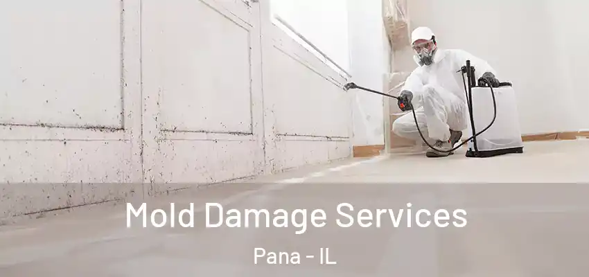 Mold Damage Services Pana - IL