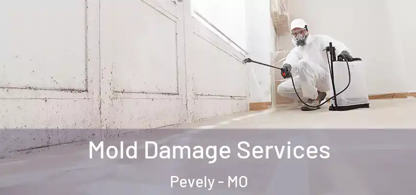  Mold Damage Services Pevely - MO