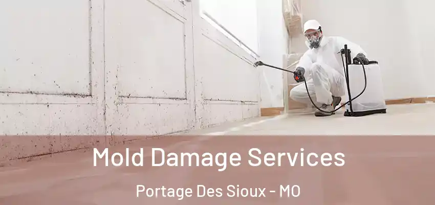  Mold Damage Services Portage Des Sioux - MO