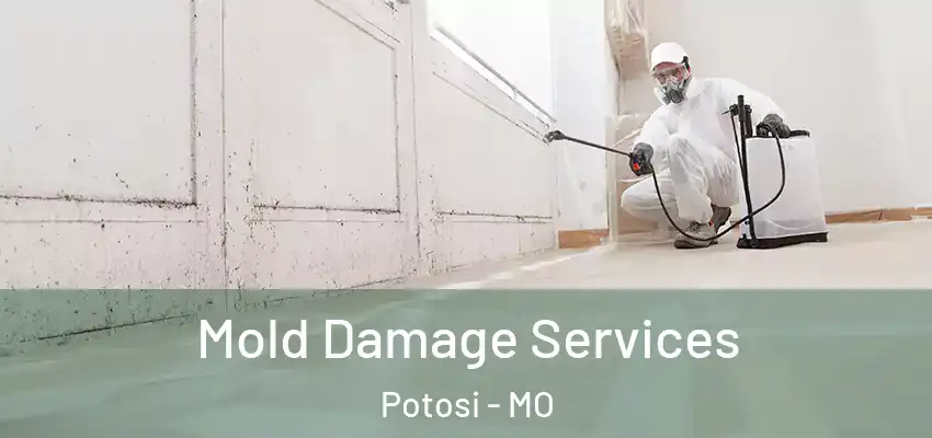 Mold Damage Services Potosi - MO