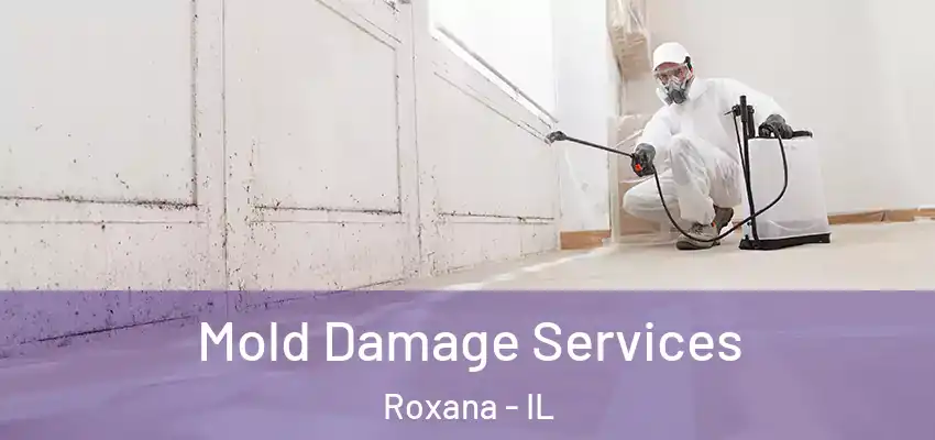  Mold Damage Services Roxana - IL