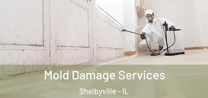  Mold Damage Services Shelbyville - IL