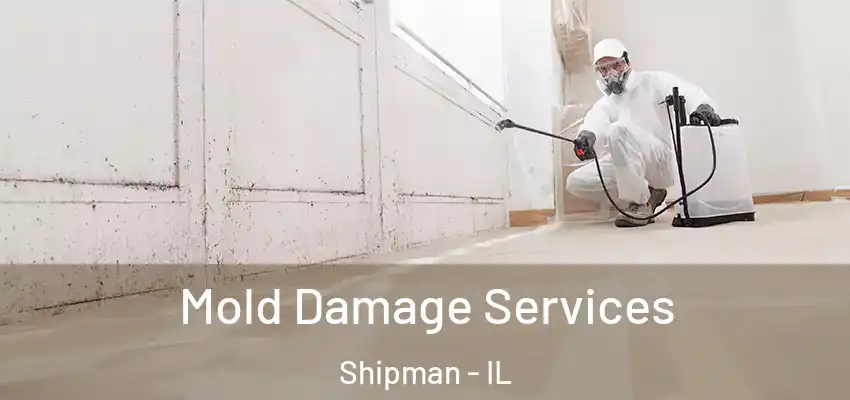  Mold Damage Services Shipman - IL