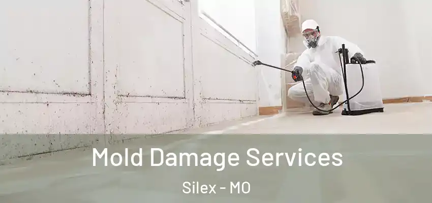 Mold Damage Services Silex - MO