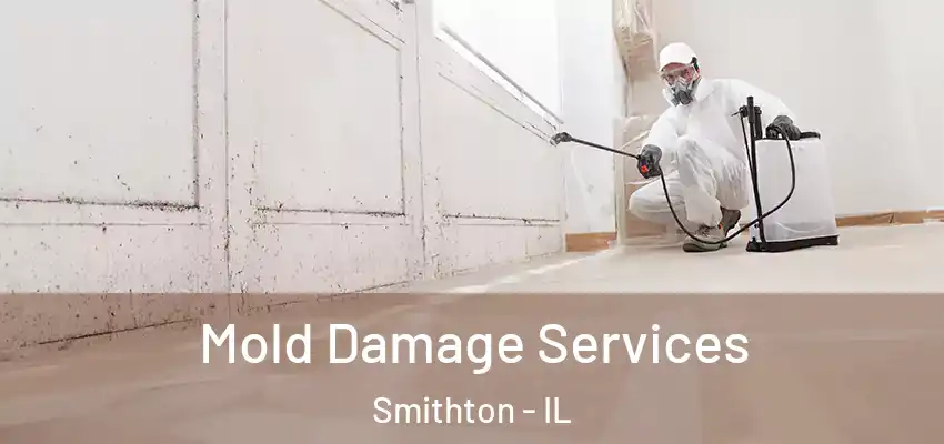  Mold Damage Services Smithton - IL