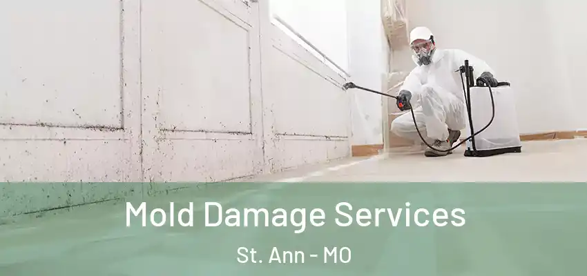  Mold Damage Services St. Ann - MO