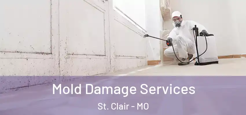 Mold Damage Services St. Clair - MO