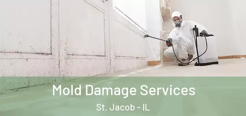  Mold Damage Services St. Jacob - IL