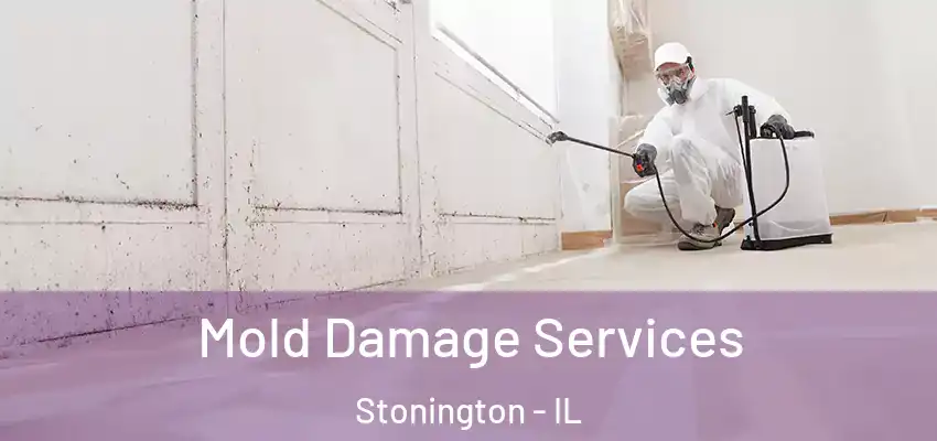 Mold Damage Services Stonington - IL