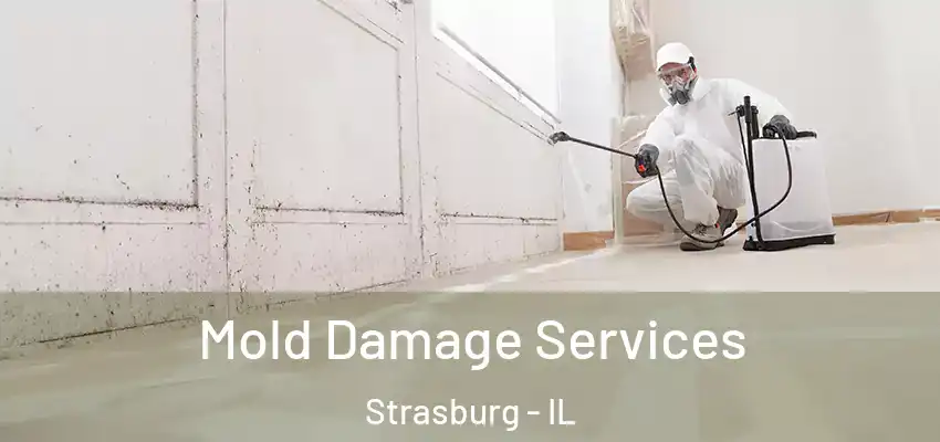 Mold Damage Services Strasburg - IL