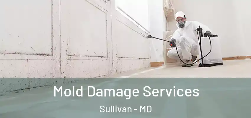 Mold Damage Services Sullivan - MO