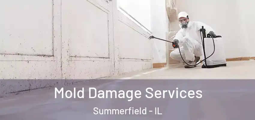  Mold Damage Services Summerfield - IL