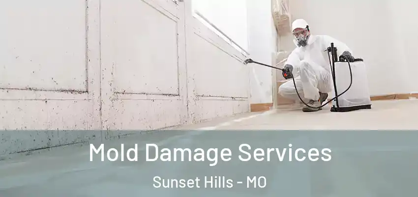 Mold Damage Services Sunset Hills - MO
