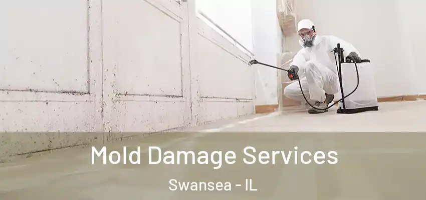  Mold Damage Services Swansea - IL
