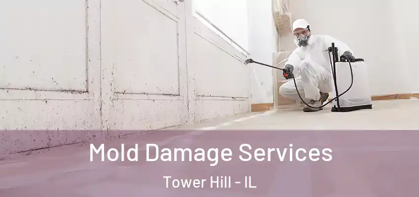  Mold Damage Services Tower Hill - IL