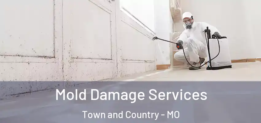  Mold Damage Services Town and Country - MO