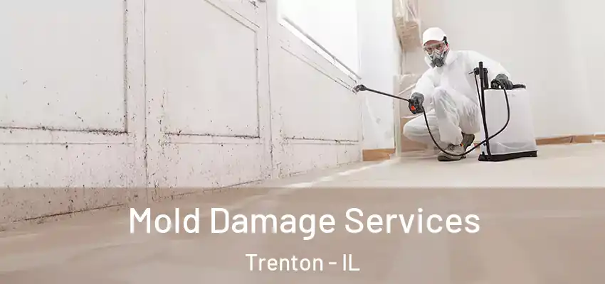  Mold Damage Services Trenton - IL