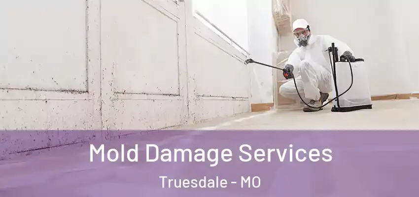  Mold Damage Services Truesdale - MO