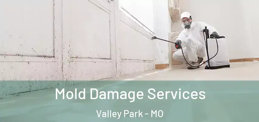  Mold Damage Services Valley Park - MO