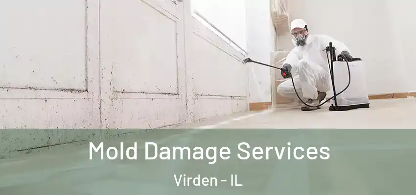  Mold Damage Services Virden - IL