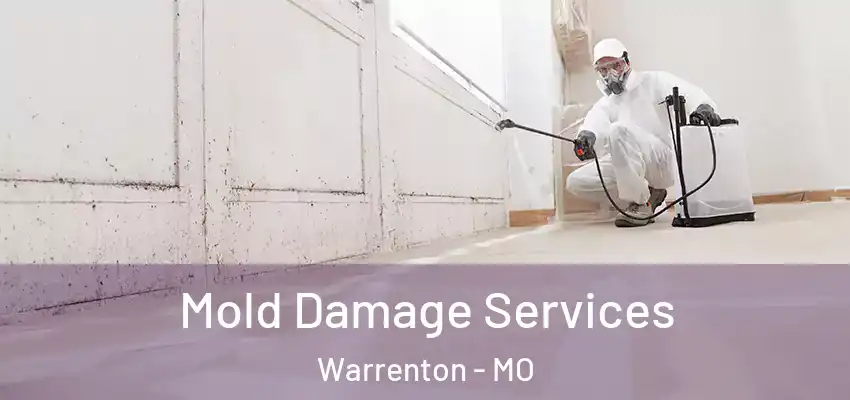  Mold Damage Services Warrenton - MO