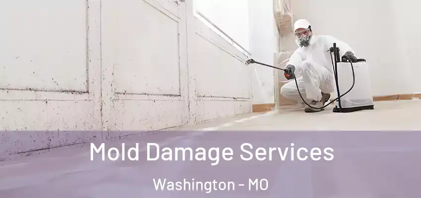 Mold Damage Services Washington - MO