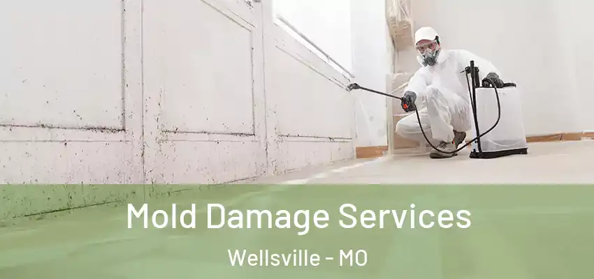 Mold Damage Services Wellsville - MO