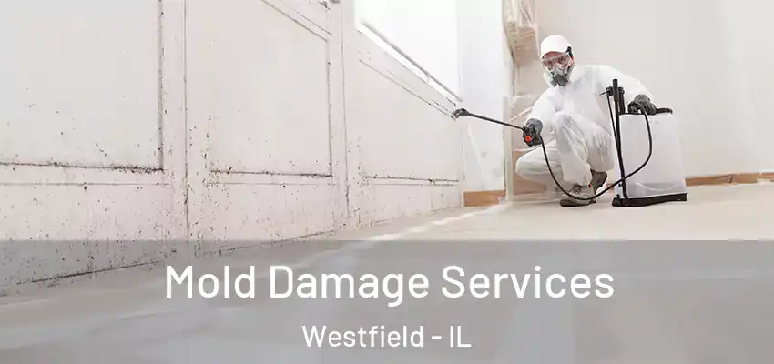  Mold Damage Services Westfield - IL