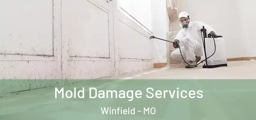 Mold Damage Services Winfield - MO