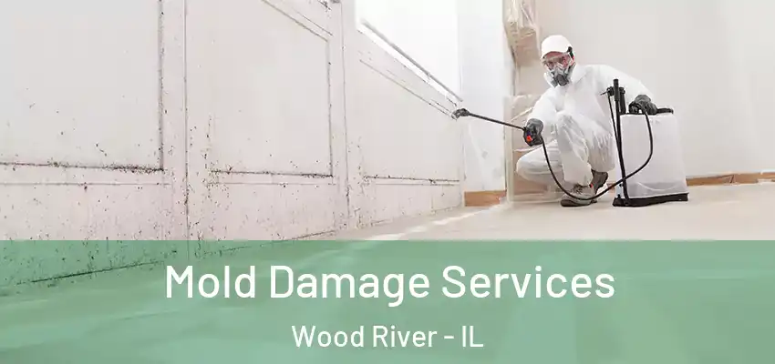  Mold Damage Services Wood River - IL