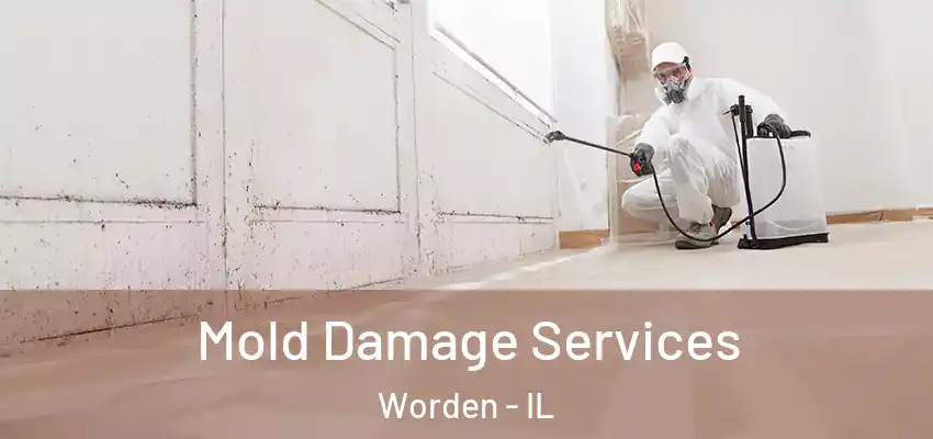  Mold Damage Services Worden - IL