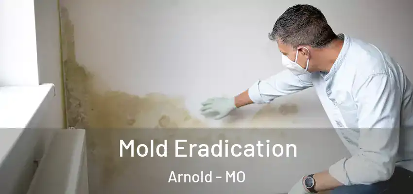  Mold Eradication Arnold - MO