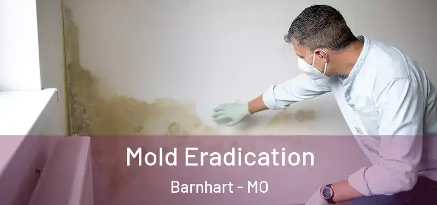  Mold Eradication Barnhart - MO